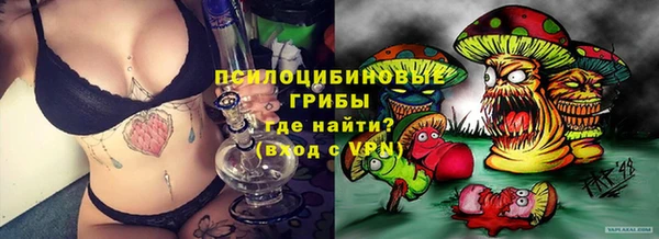 2c-b Алзамай