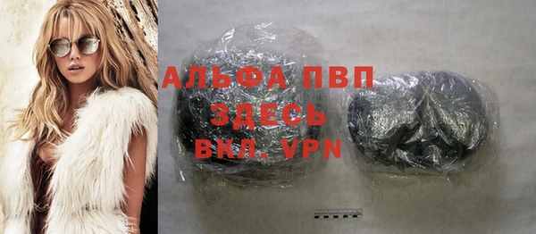 индика Переславль-Залесский