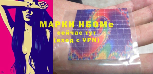 индика Переславль-Залесский